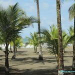 Sur la route de Limon à Cahuita au Costa Rica