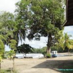 Mer des Caraïbes et plage de sable noir de Cahuita au Costa Rica
