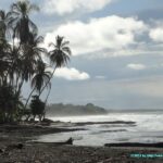 Mer des Caraïbes et plage de sable noir de Cahuita au Costa Rica