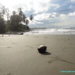 Mer des Caraïbes et plage de sable noir de Cahuita au Costa Rica