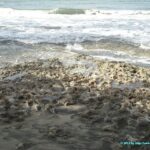 Massif Corallien et plage de sable noir de Cahuita au Costa Rica