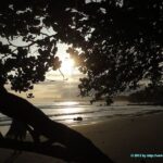 lever du soleil sur la plage de sable noir du village de Cahuita au Costa Rica
