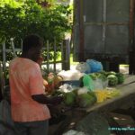 Découpe de Mangue dans le village de Cahuita au Costa Rica
