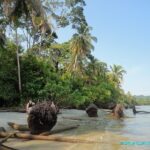 La grande plage de sable blanc de Cahuita au Costa Rica