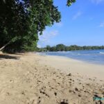 La grande plage de sable blanc de Cahuita au Costa Rica