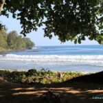 Visite du Parc National de Cahuita au Costa Rica