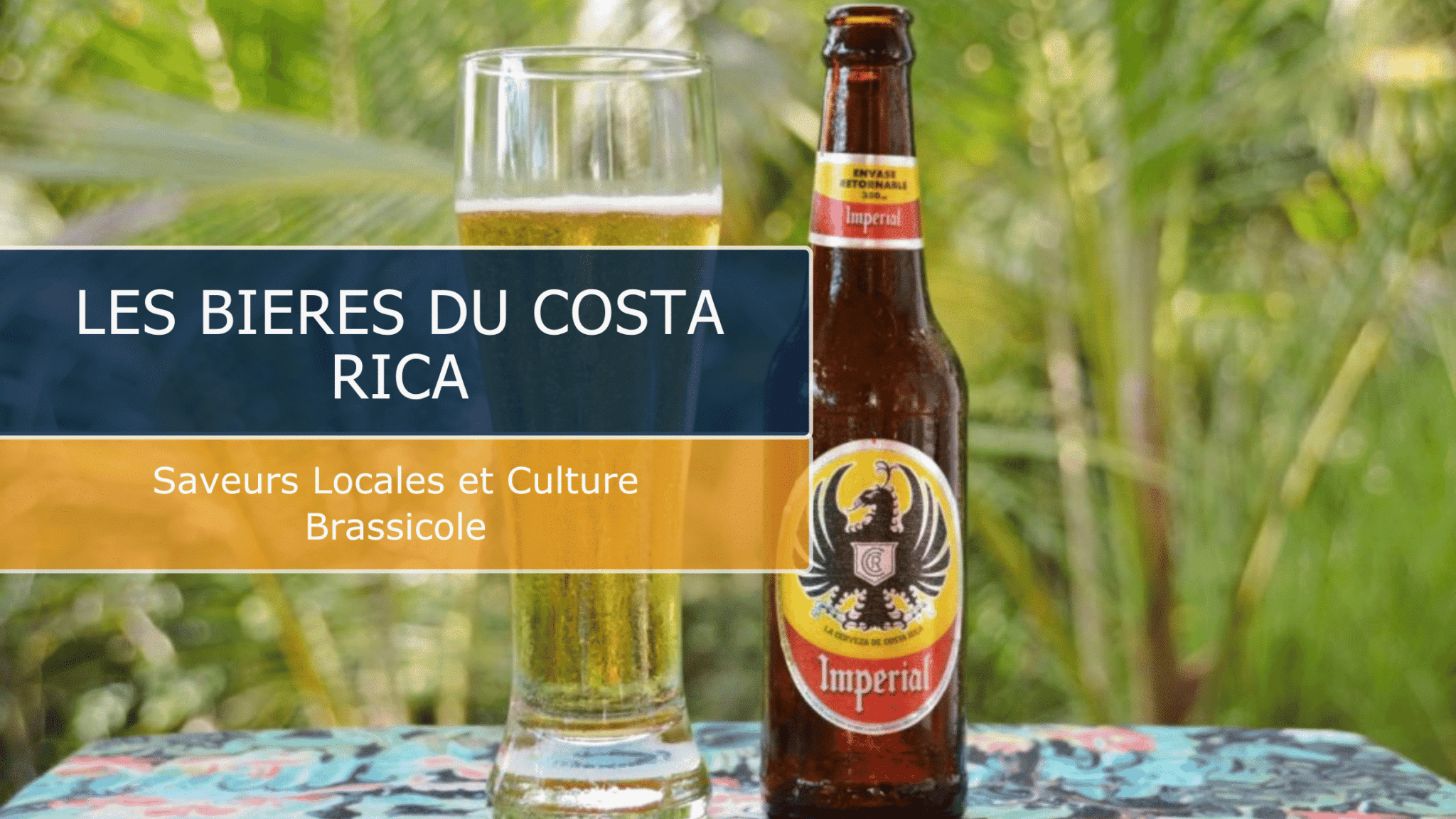biere boisson gastronomie costa rica vert costa rica