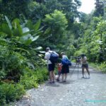 Image de la Nature sur le sentier du parc national de Manuel Antonio