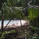 Visite et Plage dans le Parc National Manuel Antonio
