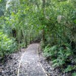 Image de la Nature sur le sentier du parc national de Manuel Antonio