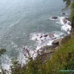 Image de la Nature dans le parc national de Manuel Antonio