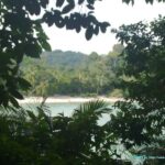 Visite et Plage dans le Parc National Manuel Antonio