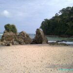 Visite et Plage dans le Parc National Manuel Antonio