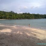 Visite et Plage dans le Parc National Manuel Antonio