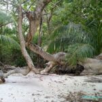 Visite et Plage dans le Parc National Manuel Antonio