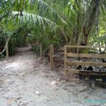 Visite et Plage dans le Parc National Manuel Antonio