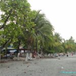 Visite et Plage dans le Parc National Manuel Antonio