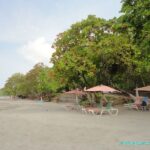 Visite et Plage dans le Parc National Manuel Antonio
