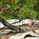 Visite et Plage dans le Parc National Manuel Antonio