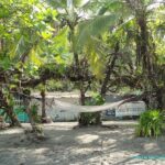 Visite et Plage dans le Parc National Manuel Antonio