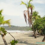 Visite et Plage dans le Parc National Manuel Antonio