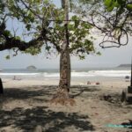 Visite et Plage dans le Parc National Manuel Antonio