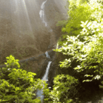 Voyage Costa Rica à Monteverde - à la Cascade San Luis