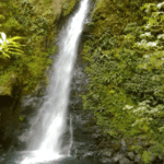 Voyage Costa Rica à Monteverde - à la Cascade San Luis