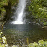 Voyage Costa Rica à Monteverde - à la Cascade San Luis