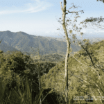 Monteverde à la Cascade San Luis - Catarata San Luis