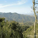 Monteverde à la Cascade San Luis - Catarata San Luis