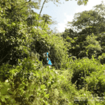 monteverde cascade san luis 025