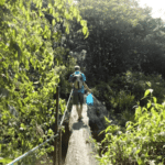 Journée randonnée à la Cascade San Luis de Monteverde