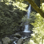 Journée randonnée à la Cascade San Luis de Monteverde