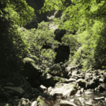 Journée randonnée à la Cascade San Luis de Monteverde