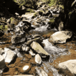 Journée randonnée à la Cascade San Luis de Monteverde
