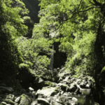 Journée randonnée à la Cascade San Luis de Monteverde