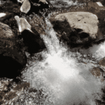 Journée randonnée à la Cascade San Luis de Monteverde