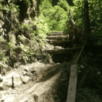 Journée randonnée à la Cascade San Luis de Monteverde