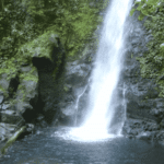 Cascade San Luis de Monteverde