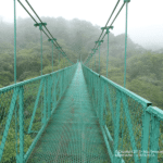 Monteverde : climat nuageux et la forêt tropicale humide de Monteverde