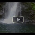 Monteverde en vidéo avec la Cascade San Luis