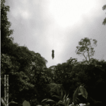 Canopy Tour de Monteverde