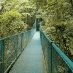 Images des Ponts suspendus de Monteverde