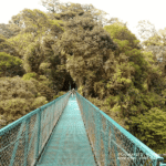 Images des Ponts suspendus de Monteverde