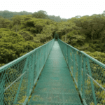 Images des Ponts suspendus de Monteverde