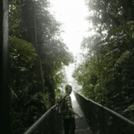 Images des Ponts suspendus de Monteverde