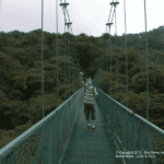 Images des Ponts suspendus de Monteverde