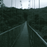 Images des Ponts suspendus de Monteverde