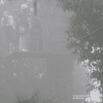 Images des Ponts suspendus de Monteverde